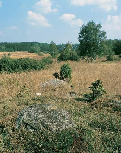 památka Smyslov Ploch terén pod hrází rybníka Smyslov, asi 2 km v chodnû od obce Pole.