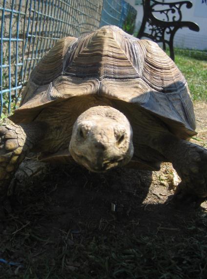 Mezi tyto aktivity patřila návštěva ZOO, Zábavný den v parku, Sportovní den atd.