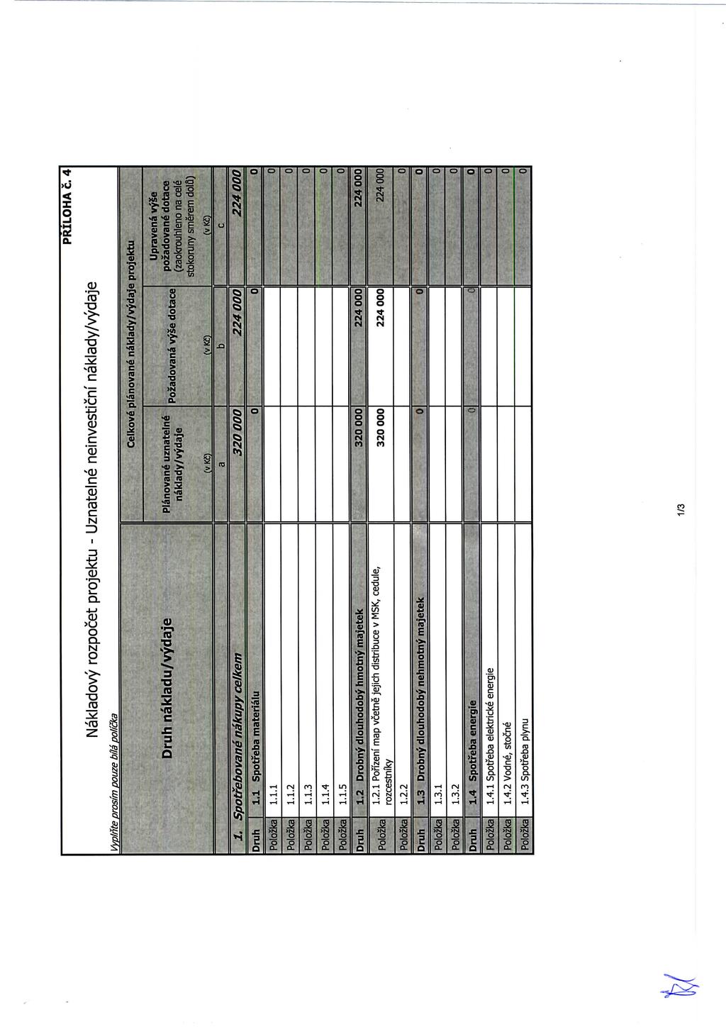 Vyplnte prosim pouze bfla policka Nakladovy rozpocet projektu - Uznatelne neinvesticnf naklady/vydaje nakladu/vydaje 1, Spotfebovane nakupy celkem \ Pololka Planovane uznateln^ naklady/vydaje (vk«a 1.