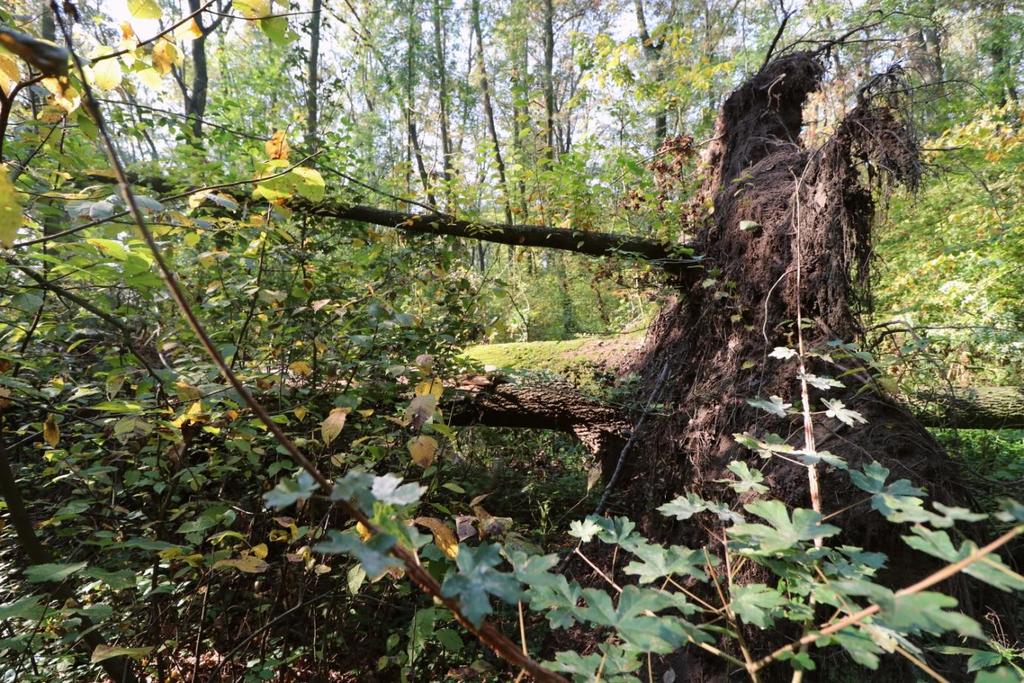 Fotografie Karolína Gelatičová Ani dnes nezůstává