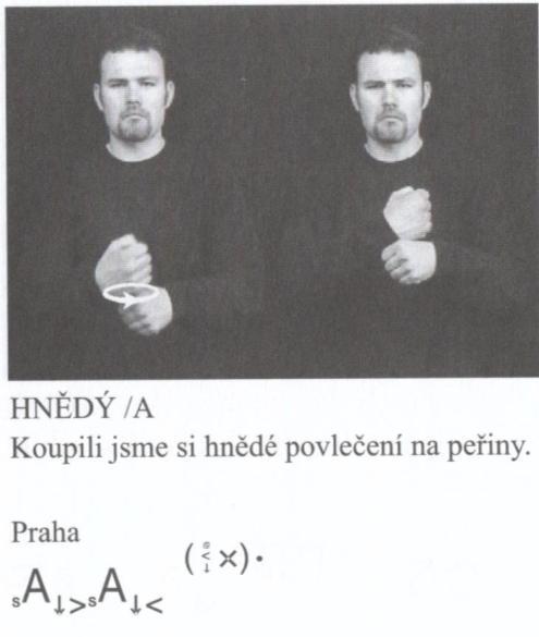 Oproti šetření mezi respondenty však tyto statě neuvádějí žádný znak pro kávu, který by byl formálně podobný znaku HNĚDÁ, a jako možnou motivaci zmiňují pouze mletí kávy (ručním mlýnkem).