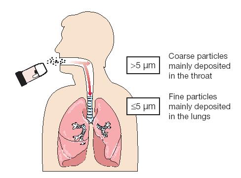 Asthma bronchiale léčba a inhalační systémy