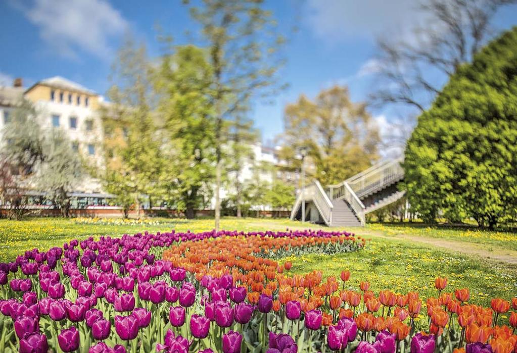 VÝSTAVIŠTĚ FLORA OLOMOUC Foto: Výstaviště Flora Olomouc Výstaviště Flora Olomouc oslavilo 60. výročí květinových výstav.