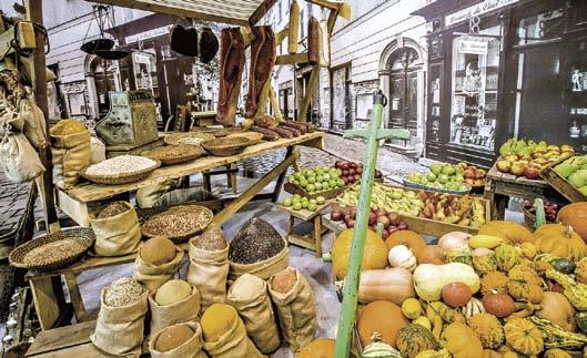 Každou roční dobu zde raší, kvetou a plodí stovky exotických druhů rostlin, které spolu s exotickými ptáky a vodními živočichy vyvolávají představy dalekých tropů.