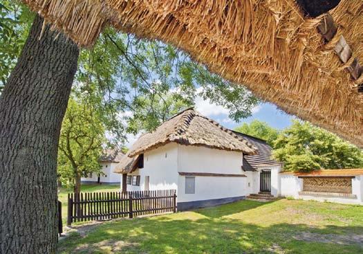 3 2 2 Cholina 2 Prohlédnout si hrady, zámky, muzea, zoo, zažít komentované prohlídky měst, vystoupat na radniční věže, zahrát si minigolf, svézt se na bobových drahách to vše vám umožní Olomouc