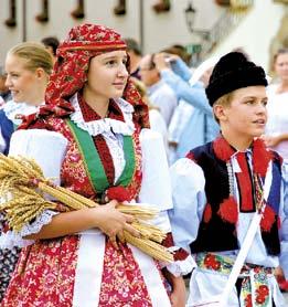 Jste-li milovníky dálkových tras, pak se vydejte po převážně asfaltové stezce z Olomouce přes Kroměříž a Uherské Hradiště až do Hodonína.
