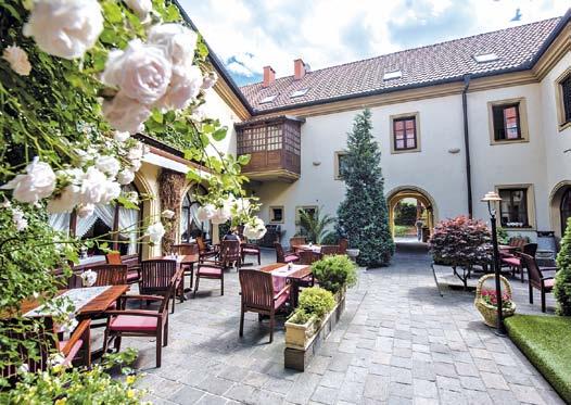 Výstava kamélií, foto: m-ark Hotel OCTÁRNA Historie, kvalitní jídlo i ráj pro snoubence **** Kdysi měly zdobit Národní divadlo, ale nakonec čtyři nevšední lunety od