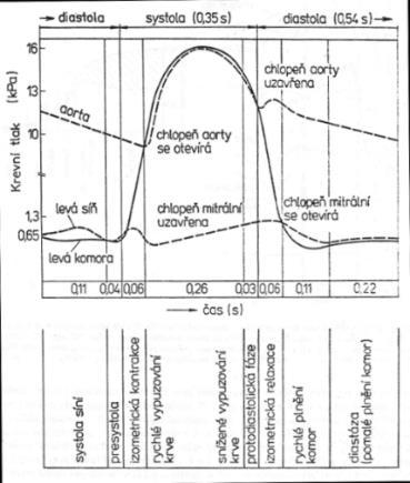 2 LÉKAŘSKÉ MINIMUM Jelikož v této práci pojednávám o tématu, které není pro strojírenskou praxi běžné, je nutné uvést přehled základních termínů a funkcí jednotlivých částí srdečně cévní soustavy. 2.