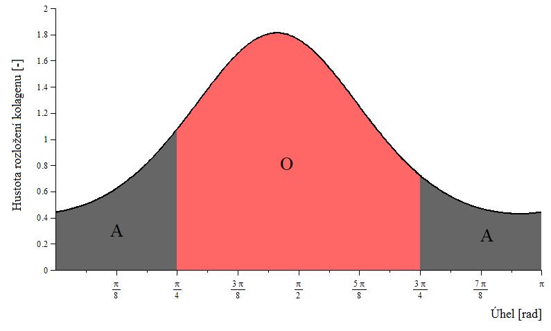 Tab. 5.4 Objemové plnění vrstvy 1. Tab. 5.5 Objemové plnění vrstvy 2. Axiální směr S A = 0,395 Obvodový směr S O = 2,746 v f1 = 0,102 v m1 = 0,898 v f2 = 0,698 v m2 = 0,302 Obr. 5.4 Distribuční funkce vnější poloviny medie pro b = 0,72 a φ = 82.