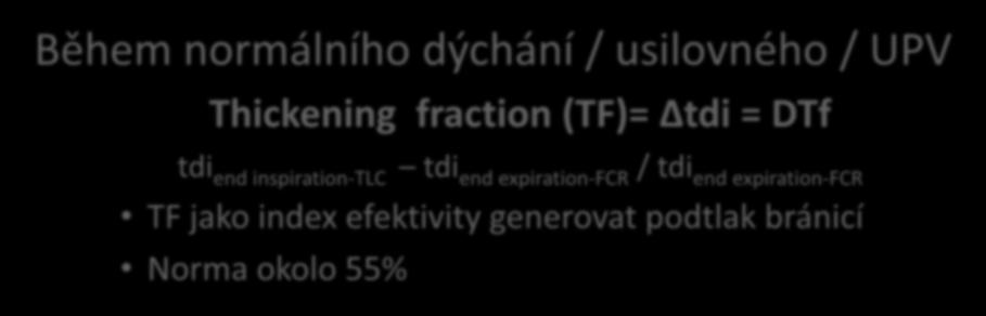 Měření tloušťky bránice-dtf Během normálního dýchání /