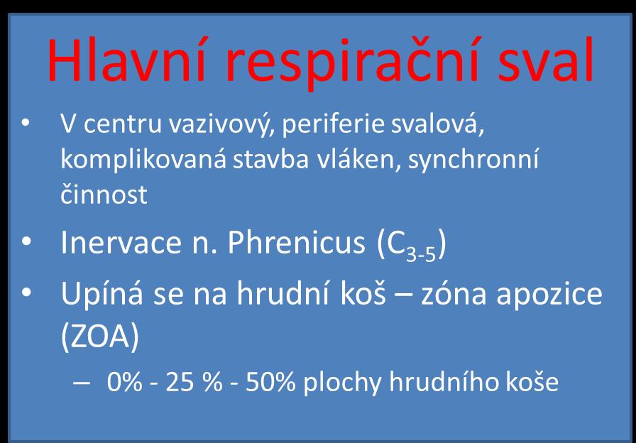 bederní páteře Exkurze v různých místěch různé, od 0,9 až 2 cm musculi scaleni m.serratus anterior m.latissimus dorsi m.