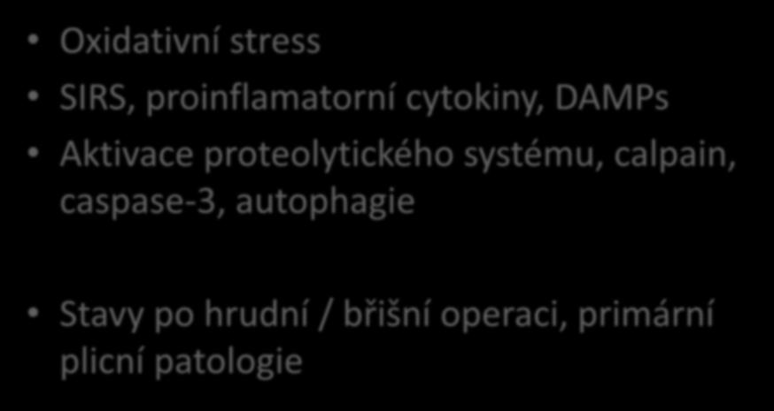 Další mechanismy vzniku DD Oxidativní stress SIRS, proinflamatorní cytokiny, DAMPs Aktivace