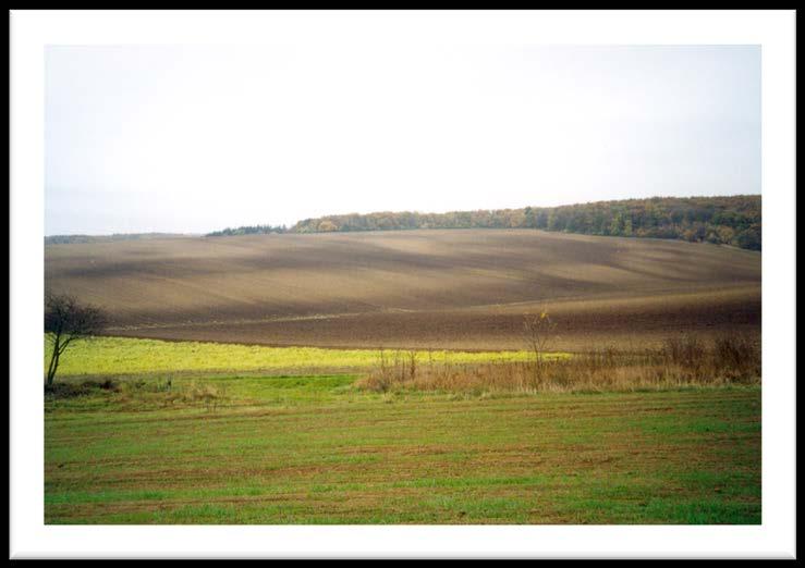 půdě Tvorba