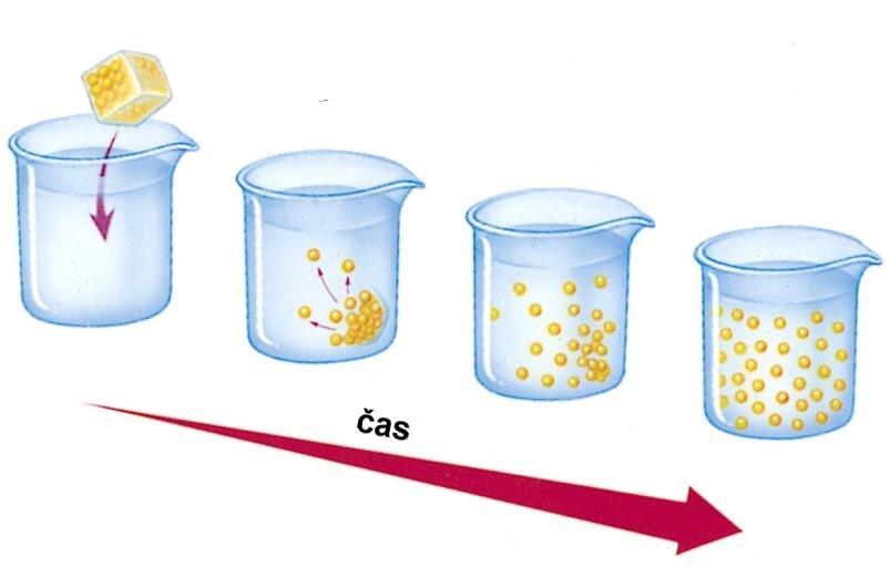 Difuze a permeabilita Molekuly plynů a kapalin jsou v neustálem pohybu a mají tendenci se