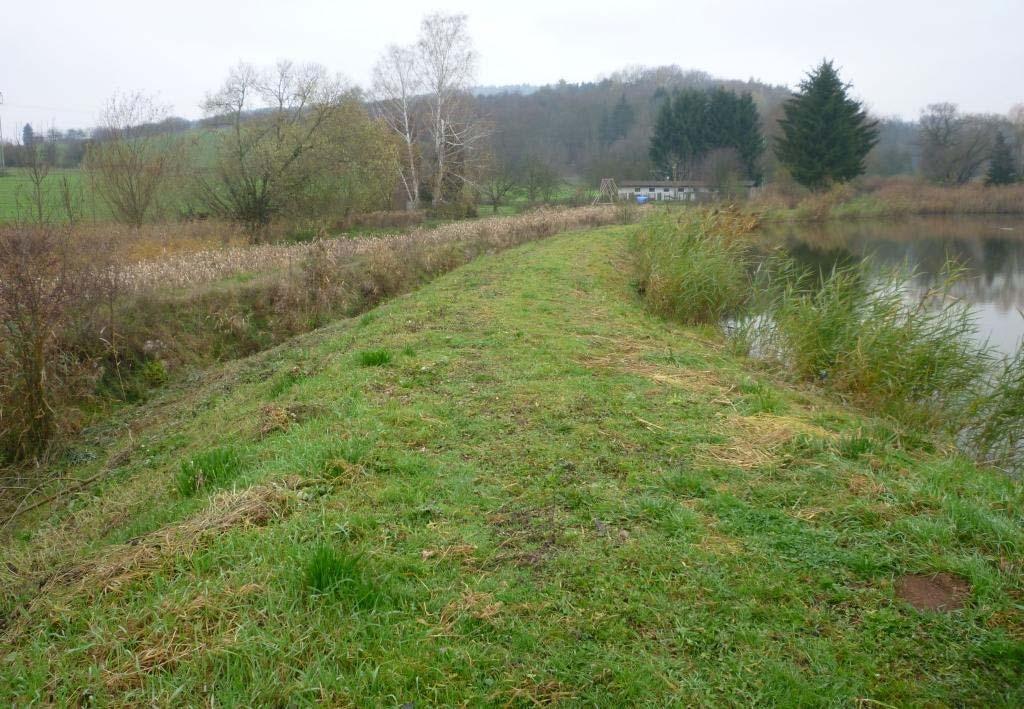 Obr. 4.70 Část hráze rybníka (v místě stanoviště 2) na levé straně koryto přeloženého toku 4.7.2 Problémy vyskytující se v průběhu provozu V roce 2010 byla na tělese hráze rybníka pozorována lokální poškození (Obr.