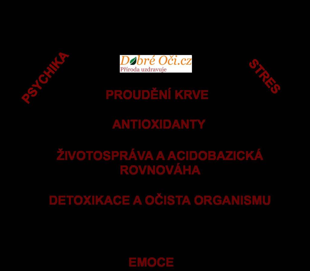 Z čeho se terapie skládá?