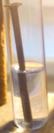 hřebík v destilované vodě