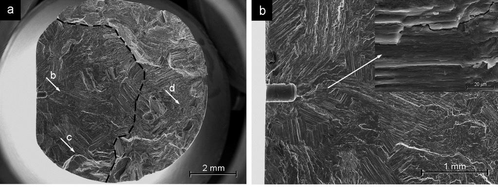 Obr. 24 Fraktografie na tělese σa = 70 MPa,