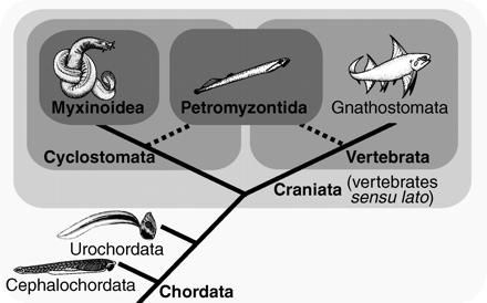 Sansom et al.