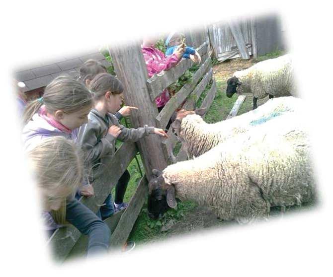 Děti si jehňátka pochovaly, nakrmily ovečky a jedno