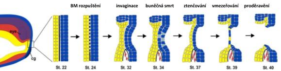 et al., 2016).