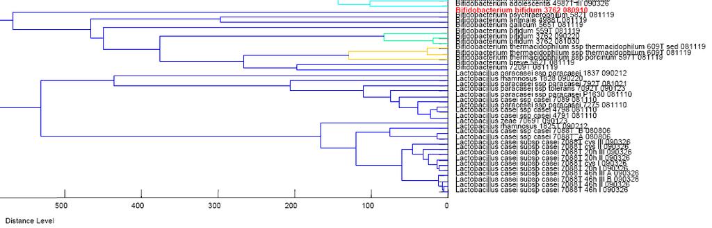 In a total dendrogram different samples of the same strain cultivated different period of time in different