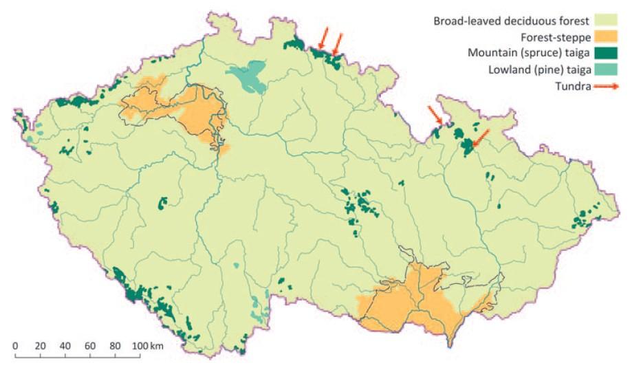 Střední holocén ve střední Evropě: vývoj lesů - mechanismy přežívání světlomilných lesních druhů, včetně dubu, v konkurenci hajních druhů jsou další velkou