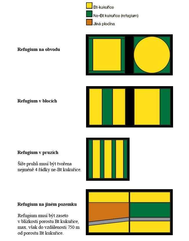 Obr. 3: Schémata pro zásev refugií. Zdroj: www.monsanto.cz, 2011 4.7.