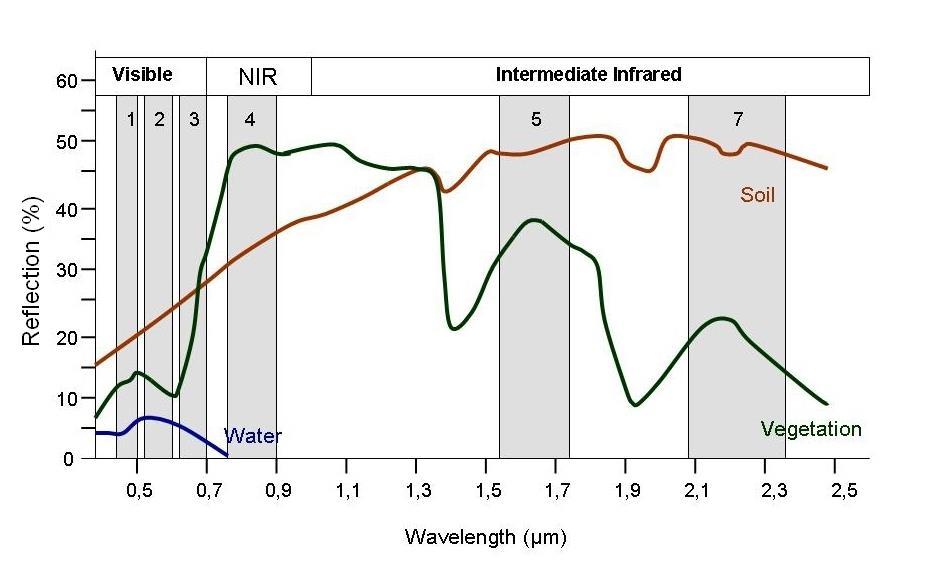 Křivky spektrální odrazivosti elektromagnetického záření Typické spektrální křivky odrazu základních skupin přírodních objektů s