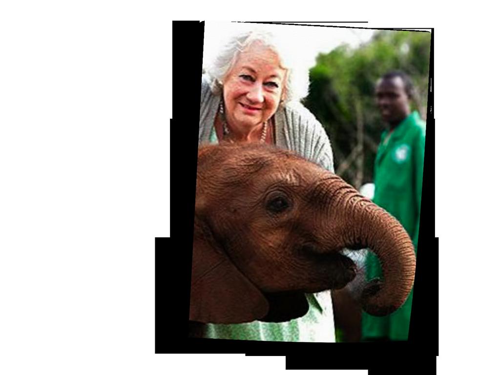 Dr. Dame Daphne Sheldrick, DBE, MDB, MBS, DVMS, Chair of the David Sheldrick Wildlife Trust, Nairobi, Kenya trpí