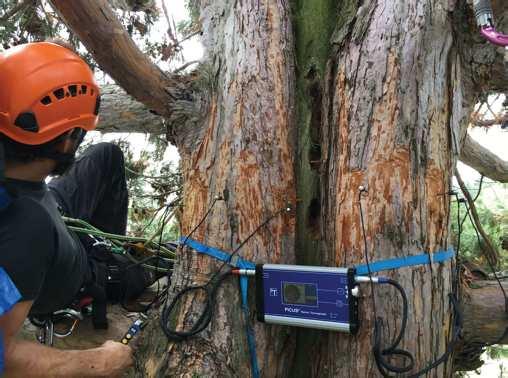 Na základě tohoto rozhodnutí vznikla v rámci EAC nová pracovní skupina European Tree Pruning Standard.