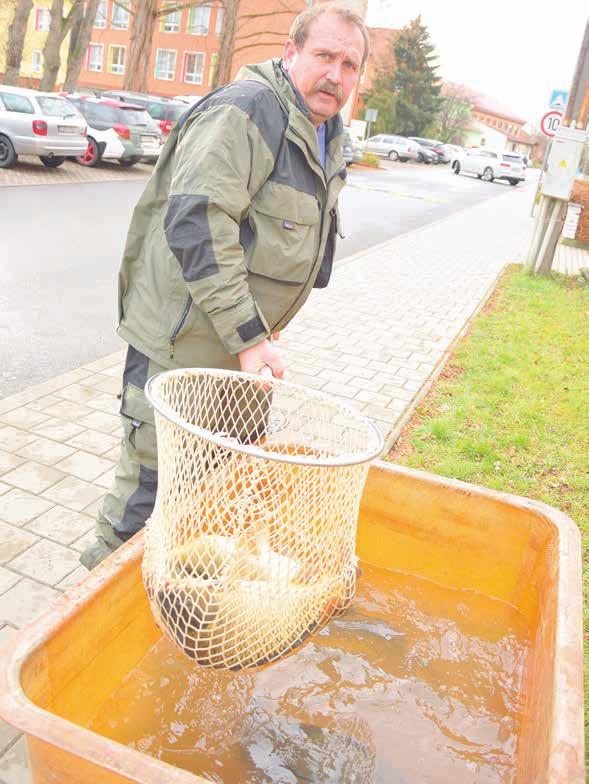 Začalo to před deseti lety, a to velice skromně, jenom s pár stánky a zabijačkou, kterou dělali hasiči.