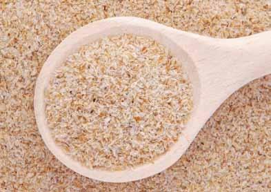 Psyllium Možná už jste o psylliu někdy slyšeli. Psyllium se získává z Jitrocele indického. Jsou to semena a jejich slupky, které se zpracují do hrubého prášku.