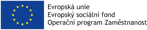 v průběhu realizace projektu.