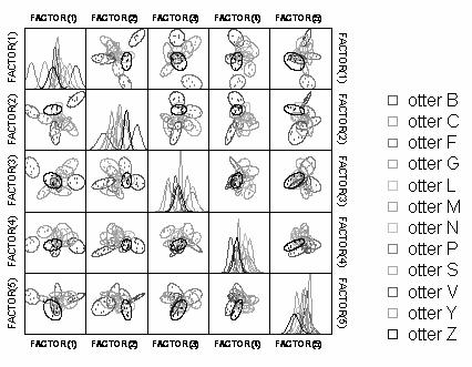 Fig. 3 Canonical scores plot showing separation among individual otters based on measurements of left hind paw imprints.