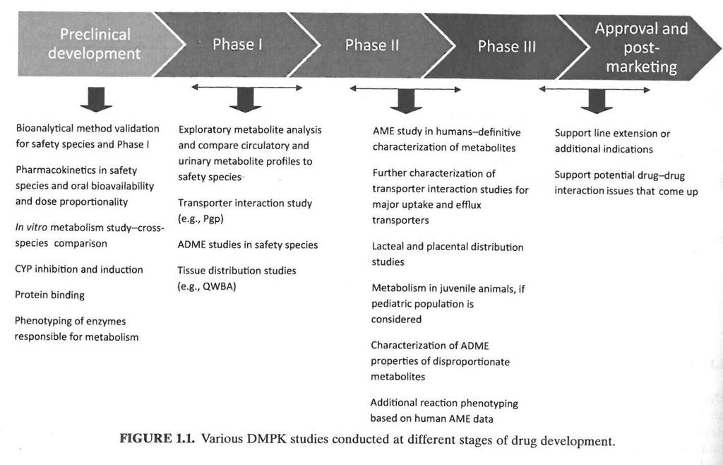 Drug development