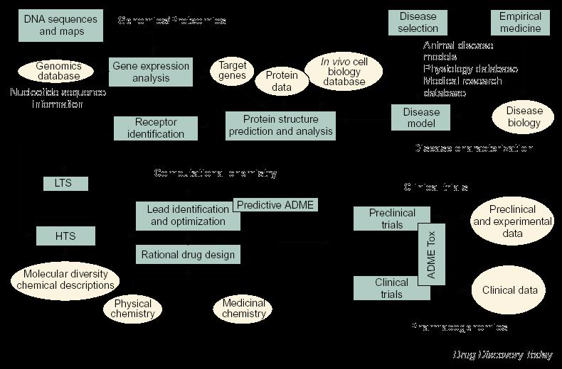 Bioinformatics