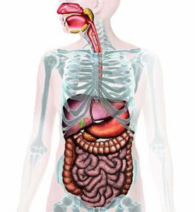 Absorption Distribution Metabolism Elimination Pharmacokinetika Bioavailabilita (biologická dostupnost) ADME/Tox -studuje optimální farmakokinetické vlastnosti léčiv v