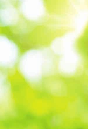 ZY Nature s Promise