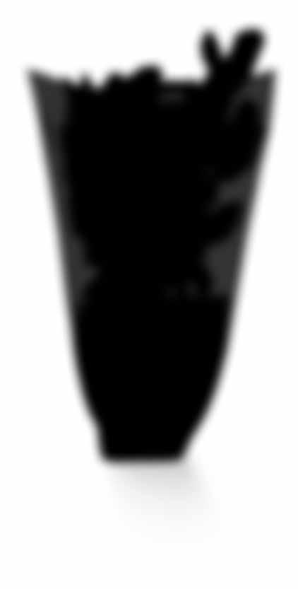 250 g 100