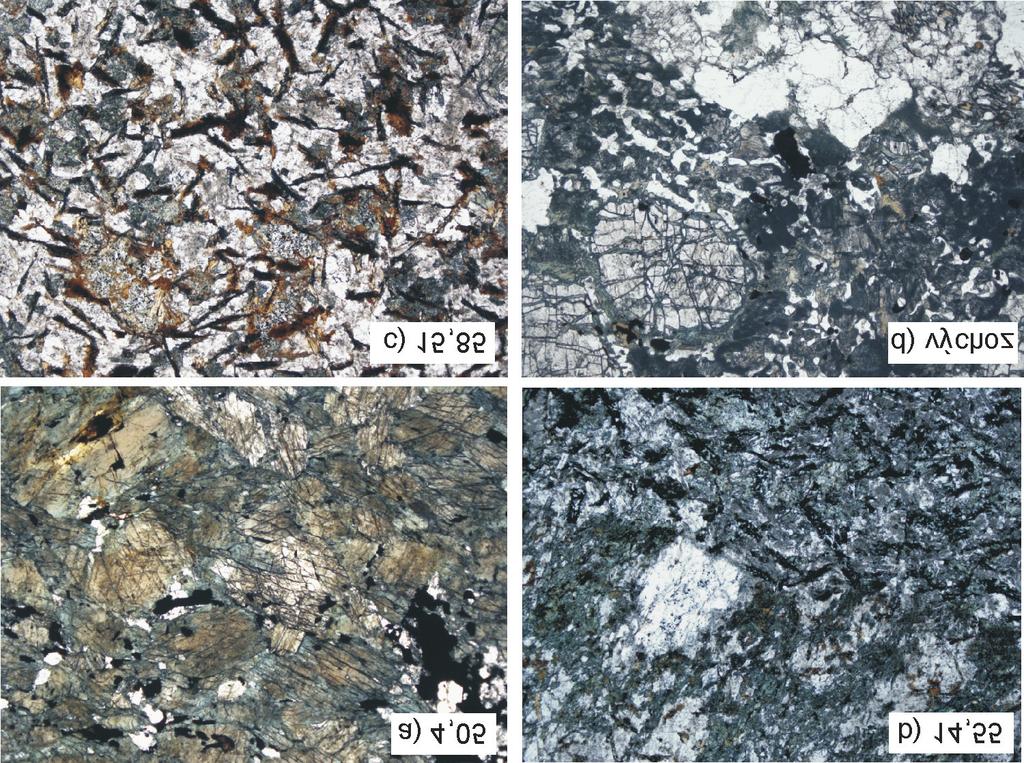 Zprávy o geologických výzkumech v roce 2014 / D Mineralogie, petrologie a geochemie 107 Obr. 3. Mikrofoto základních zasti ených horninových typù ve vrtu NZ-V1 Na zeleném.
