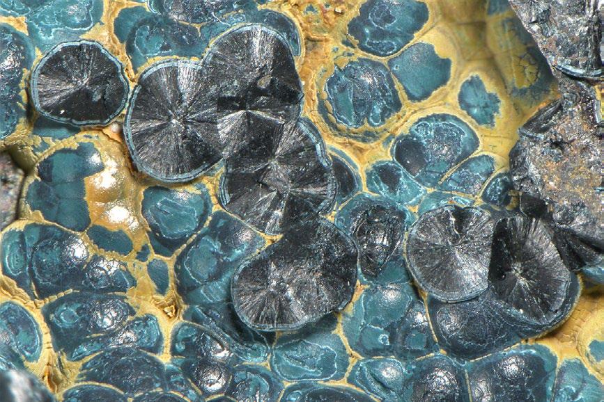 24 Tabulkovitý krystal zeleného metatorbernitu; šířka záběru 1.6 mm; foto L. Vrtiška.