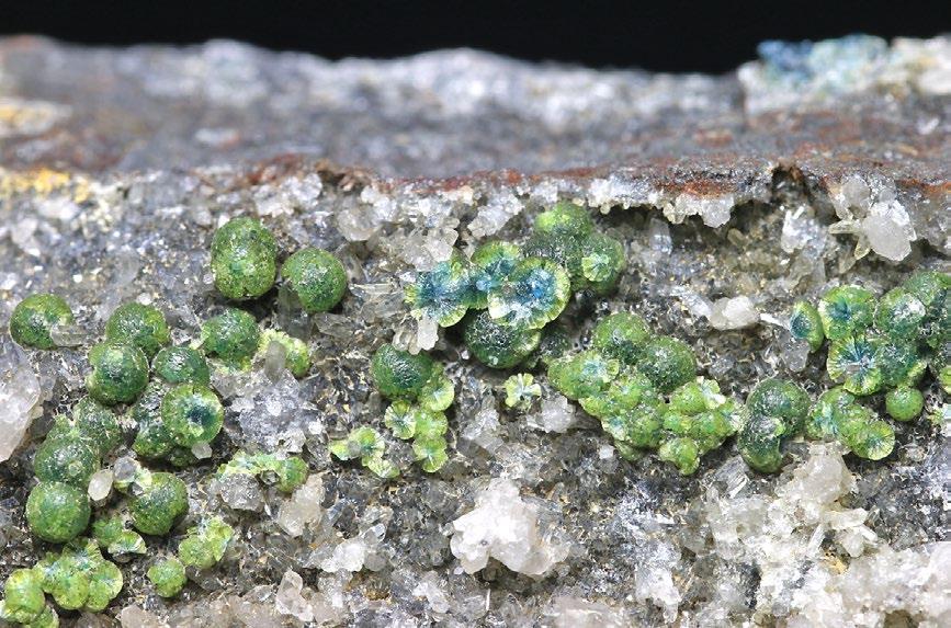 Fluorwavellit Fluorwavellit byl jako nový minerální druh s ideálním obsahem F = 1 apfu definován Kampfem et al. (2015) na vzorcích z lokality Silver Coin Mine z oblasti Valmy v Nevadě, USA.