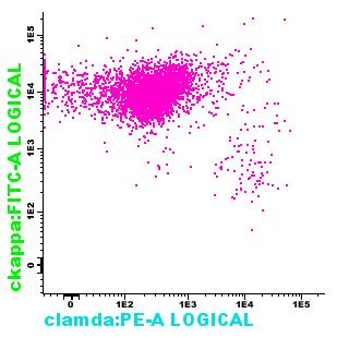 CD56-97,5 28,6 2,3 CD19 - CD56