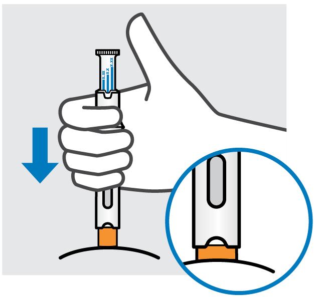 PO Nasaďte jehlu na místo a držte ji tam DŮLEŽITÉ UPOZORNĚNÍ: předplněné pero z kůže během injekce nevytahujte.