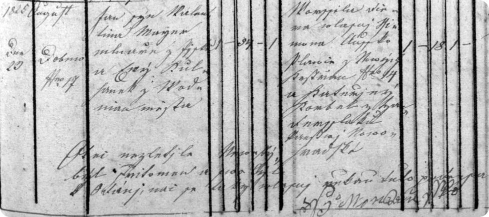 Příloha 10 Sňatek Jana Majera s Voršilou Ouškovou 23. srpna 1825 Zápis o druhém sňatku Jana Majera Přepis: Sňatek uzavřen 23.