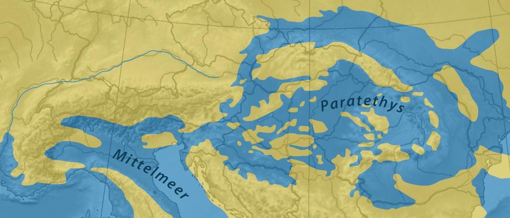 Martin Košťák z Ústavu geologie a paleontologie se dlouhodobě věnuje fosilním druhům hlavonožců.