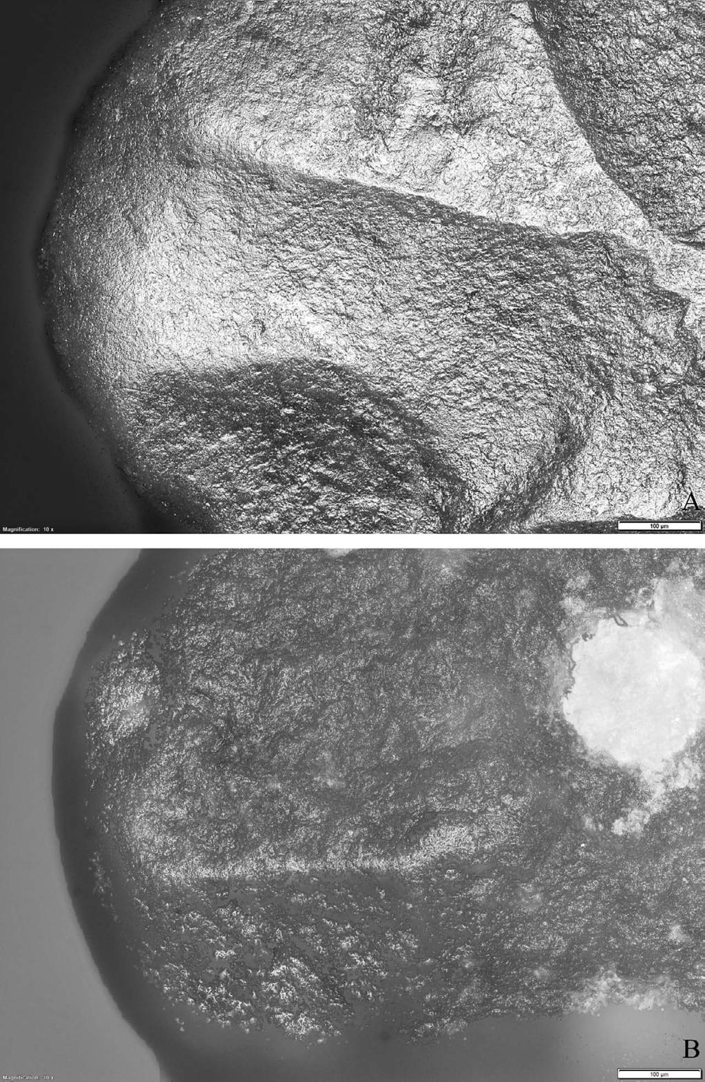 Archeologické rozhledy LXVIII 2016 183 Obr. 12.