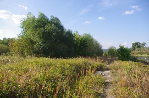 Identifikace dotčených předmětů ochrany Předměty ochrany EVL Porta Bohemica jsou čtyři typy přírodních stanovišť a dva druhy živočichů.