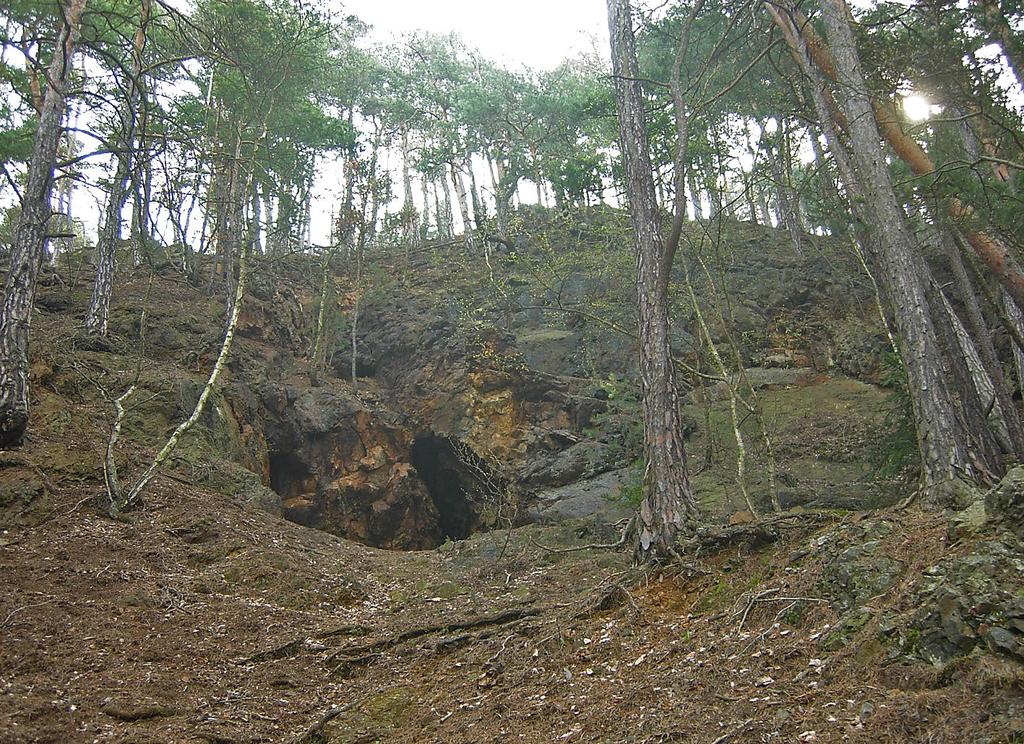 372 Bull. mineral.-petrolog. Odd. Nár. Muz. (Praha) 22, 2, 2014. ISSN 1211-0329 (print); 1804-6495 (online) uzavřená mezi dvěma spilitovými proudy.